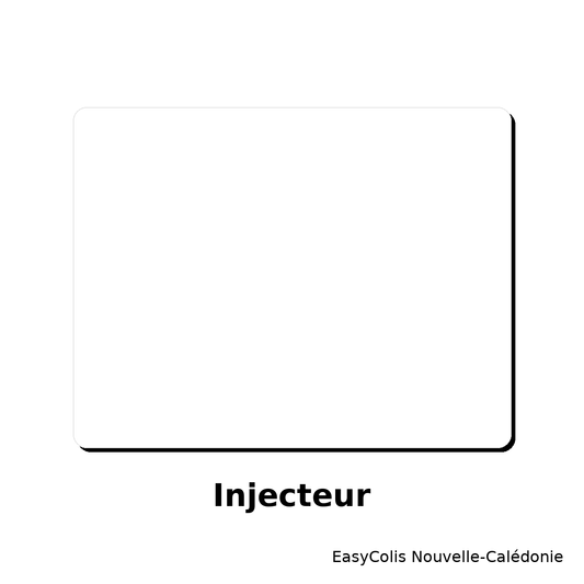 Injecteur