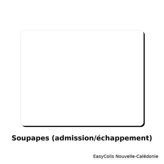 Soupapes (admission/échappement)